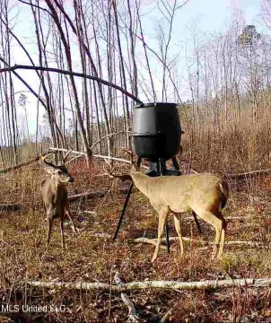 79 Acres in Attala County