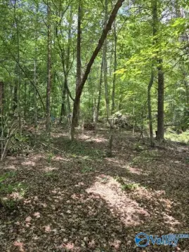 Wooded Lot Near Little River