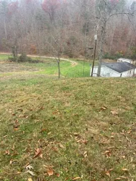 75 Acres of Kentucky Hunting Land