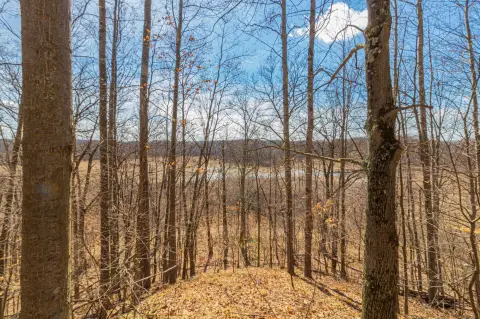 Secluded Hunting Land Near Big Rapids