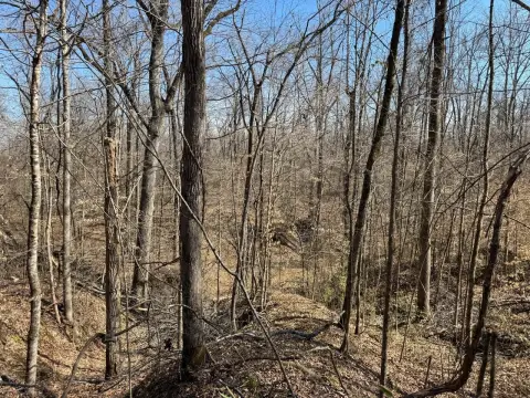 Hunting Land with Creek Frontage