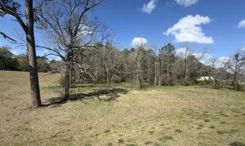 Elba, AL Vacant Land