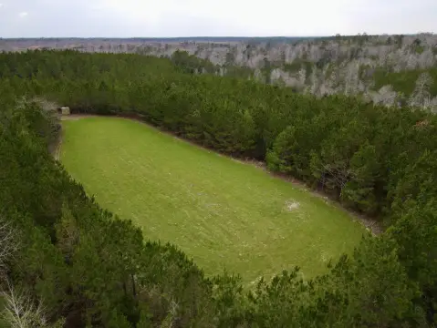 Coffeeville Timber and Hunting Investment