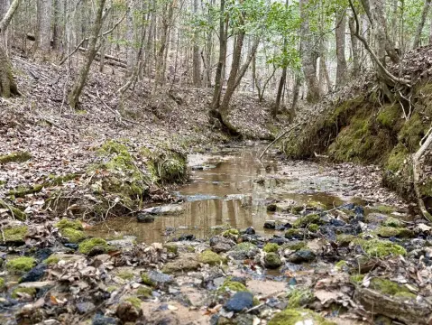 Grove Hill Vacant Land