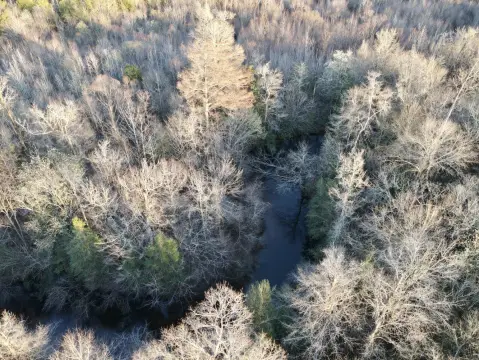 Hardwood Land with Creek Access