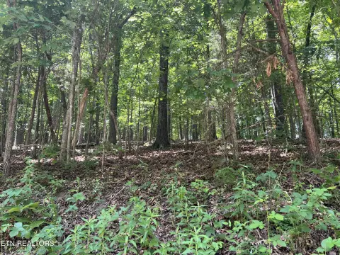 Residential Land in Tellico Village