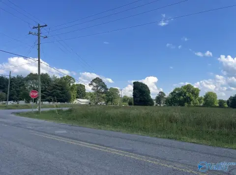 Guntersville Land with Road Frontage