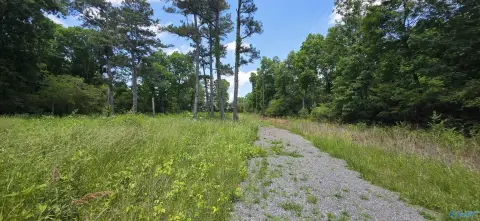 Residential Lot in Rainsville, AL
