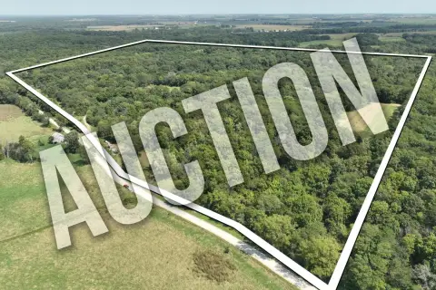 Managed Hunting Land with Timber