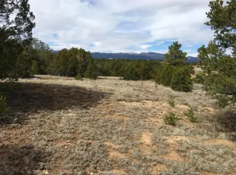 Wooded Lot Near Cibola Forest