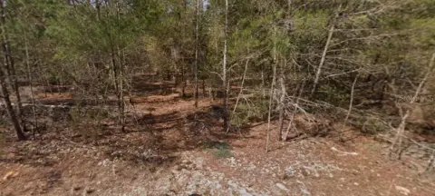 Buildable Lot Near Two Lakes