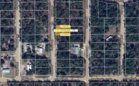 Vacant Land in Interlachen, FL