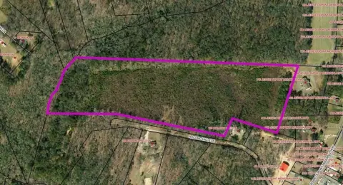 Recreation Land with Young Growth
