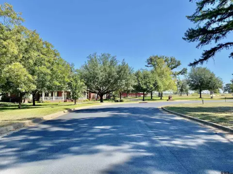 Residential Land in Frankston, TX