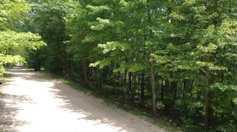 Wooded Residential Land Lot