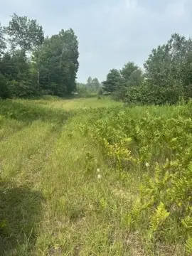 Waterfront Residential Land Parcel