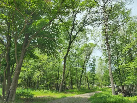 Secluded Campsite Near Castle Rock Lake