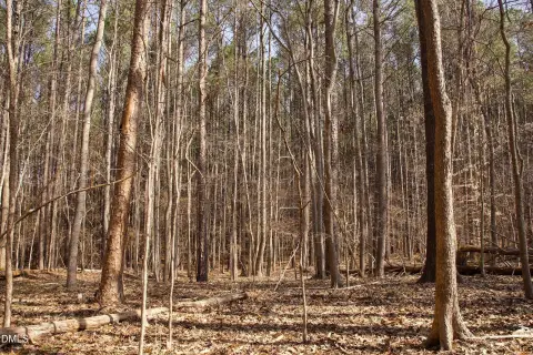 Forested Lot in Chapel Hill