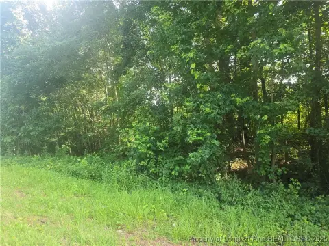Waterfront Land in Raeford, NC