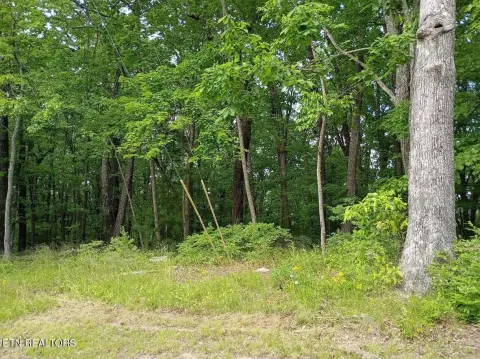 Land in Crossville, Tennessee