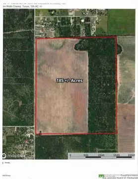 South Texas Farm With Native Brush