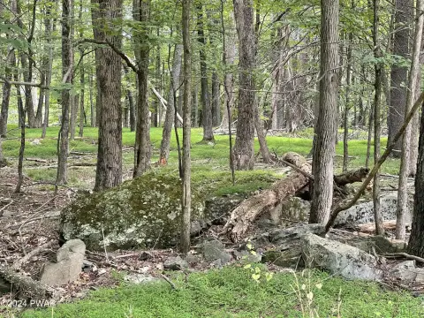 Pocono Land Near Lake Wallenpaupack