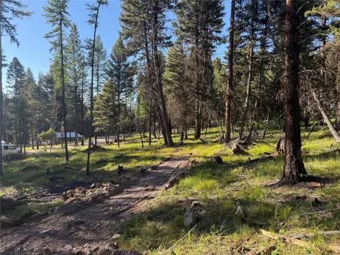 Seeley Lake Land For Sale