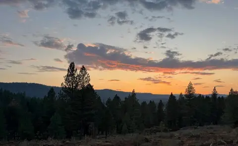Timbered Land with Mountain Views
