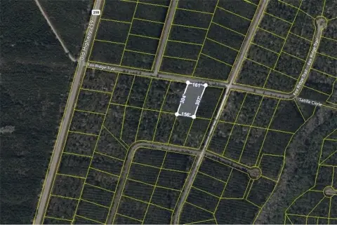 Residential Lot in Waynesville, GA