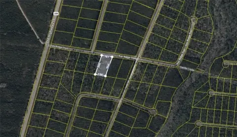 Residential Lot in Waynesville, GA