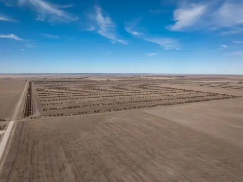 Agricultural Farmland with CRP Income