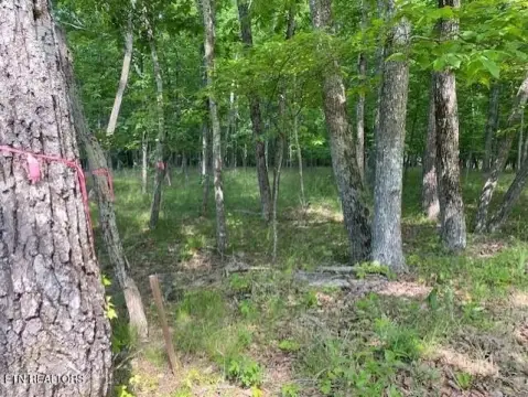 Crossville, TN Wooded Building Site