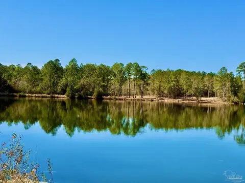 Lakefront Land with Cleared Shoreline