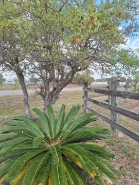 Residential Lot Near the Bay