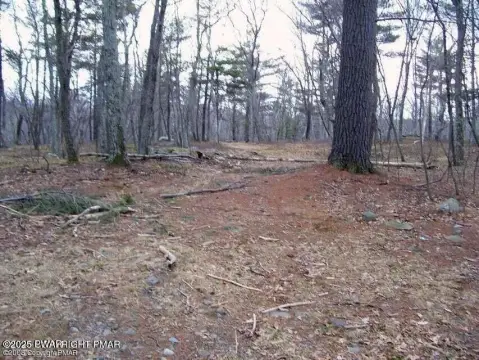 Wooded Lot in East Stroudsburg