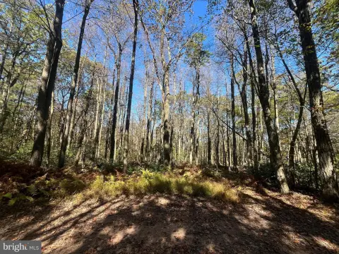 20 Acres Hunting Land Paradise