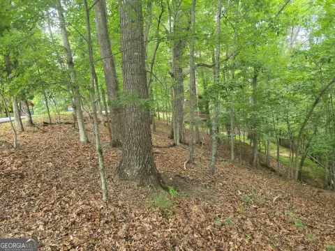 Waterfront Resort Land Lot