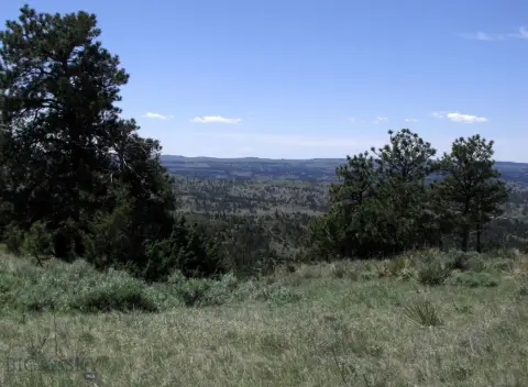 Hunting Land with Fenced Acreage