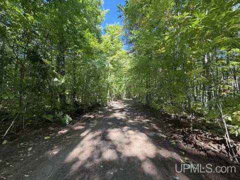 Wooded Hunting Land