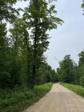Wooded Hunting Land