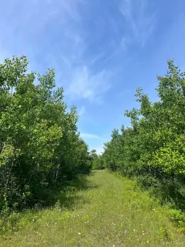 Hunting Land with Internal Trails