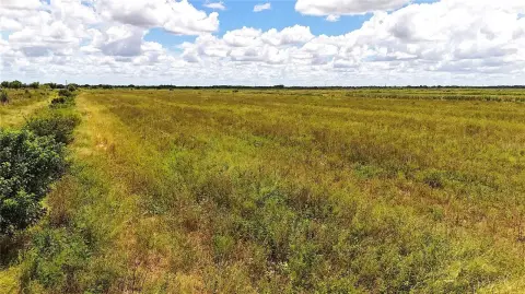Cleared Agricultural Farmland