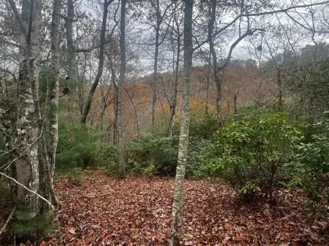 Residential Land in Franklin, NC