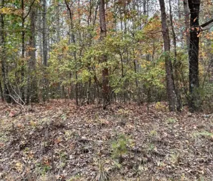 Vernon, AL Vacant Land