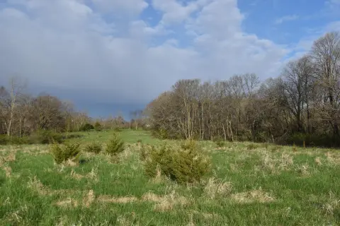 Land with Creek and Timber