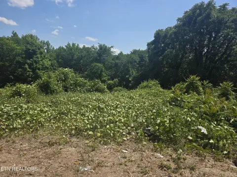 Cleared Lot in Knoxville, TN