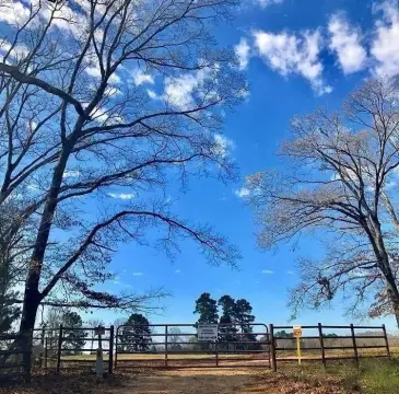 East Texas Farmland With Ponds