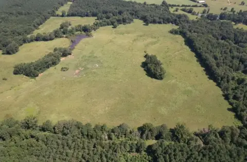 44 Acres of Pastureland Near Timpson