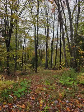 Residential Land in Alpenwald