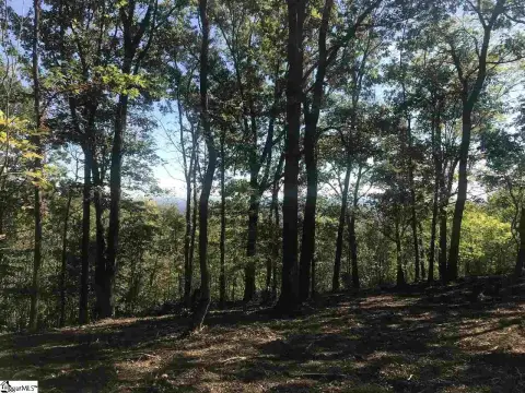 Landrum Homesite with Mountain Views